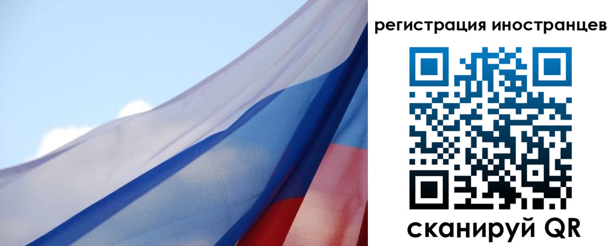 прописка поиск в Нижнекамске